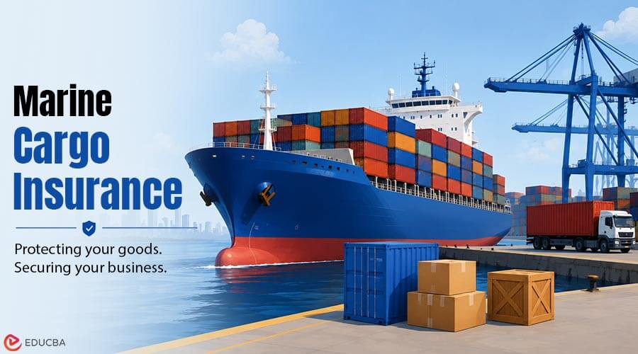 Marine Cargo Insurance