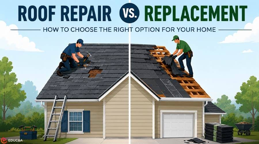 Roof Repair vs. Replacement