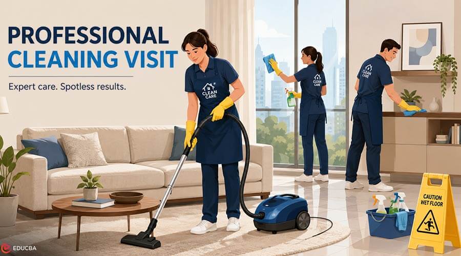 Professional Cleaning Visit