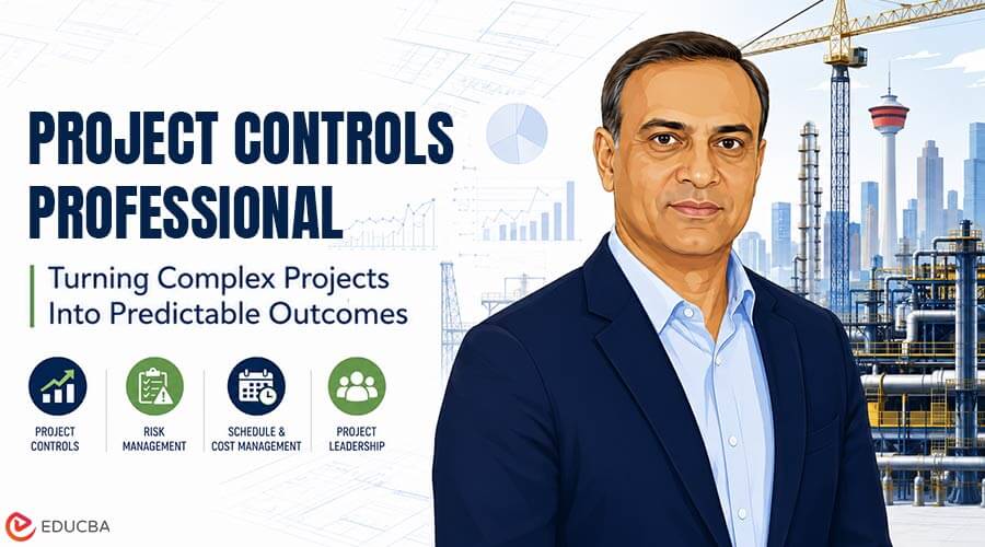 Project Controls Professional