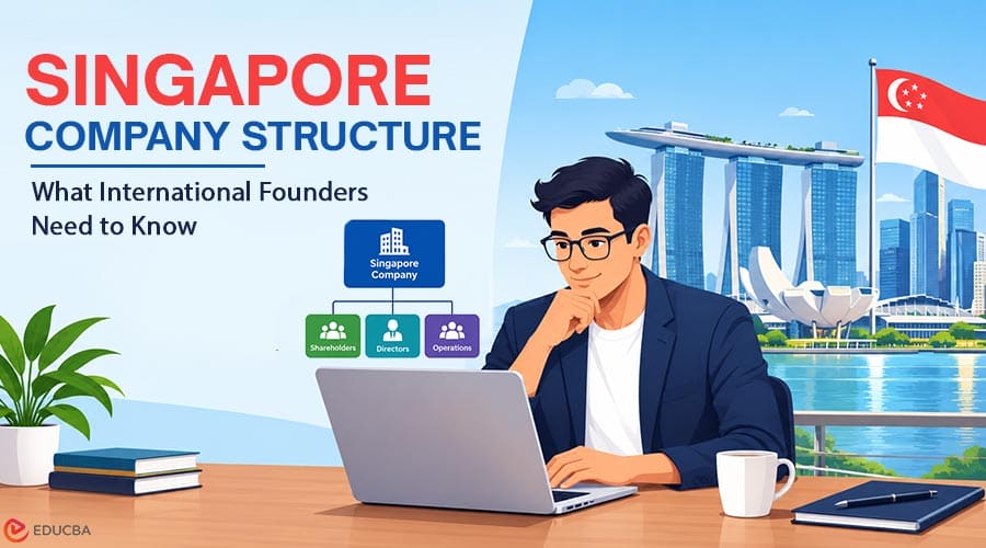 Singapore Company Structure