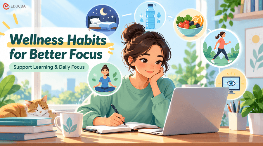 Wellness Habits for Better Focus