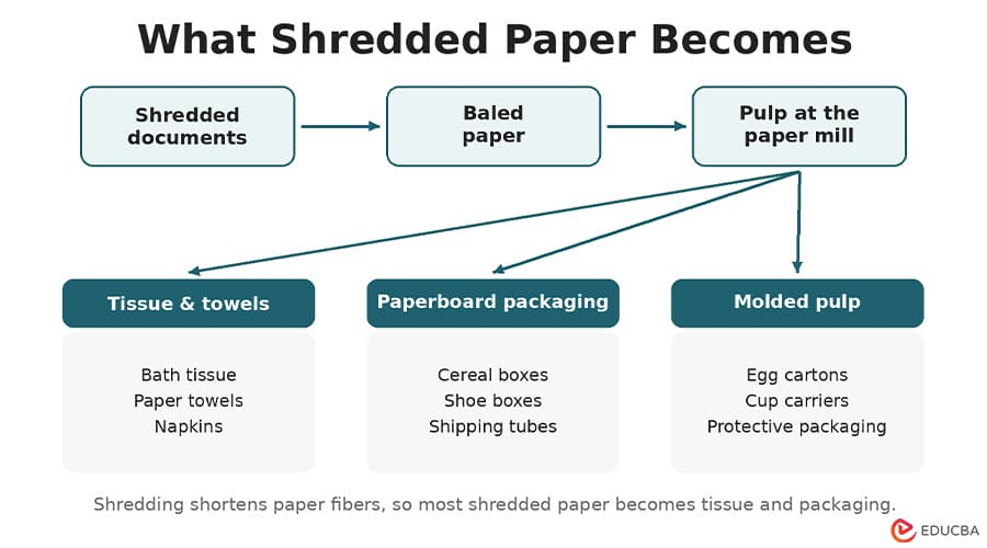 What Can Shredded Paper Become