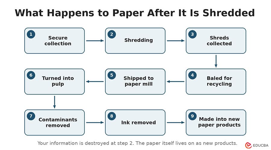 What Happens to Your Paper