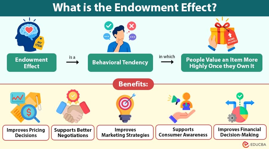 What-is-the-Endowment-Effect