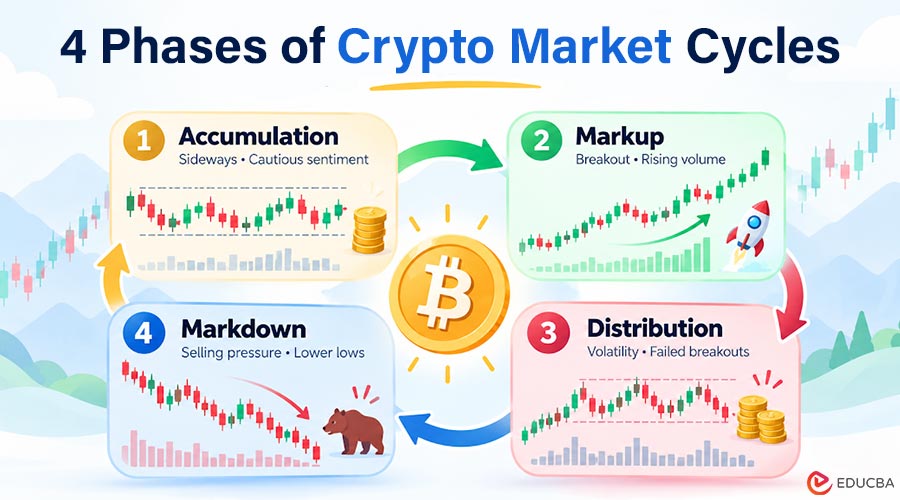 Four Phases of Crypto Market Cycles