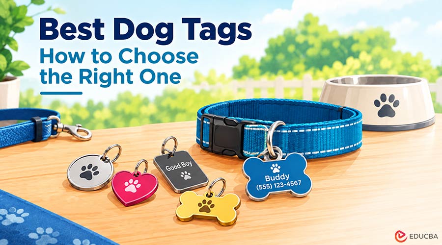 Best Dog Tags