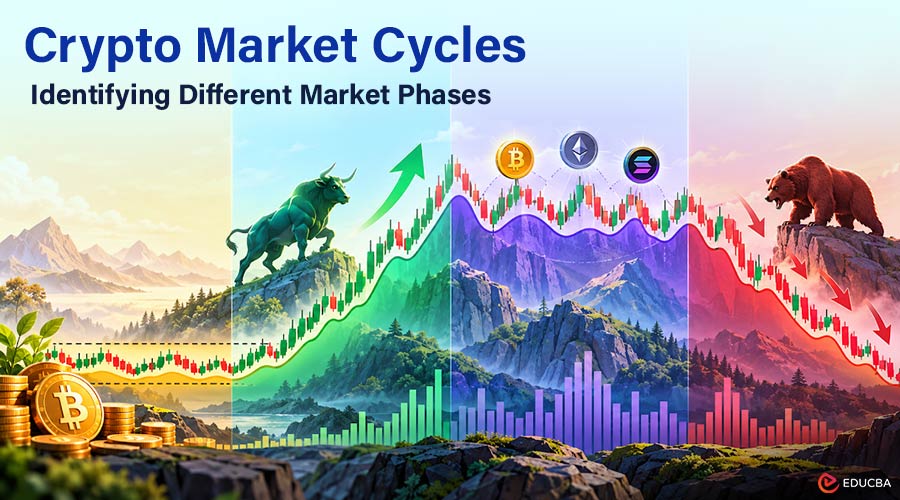 Crypto Market Cycles