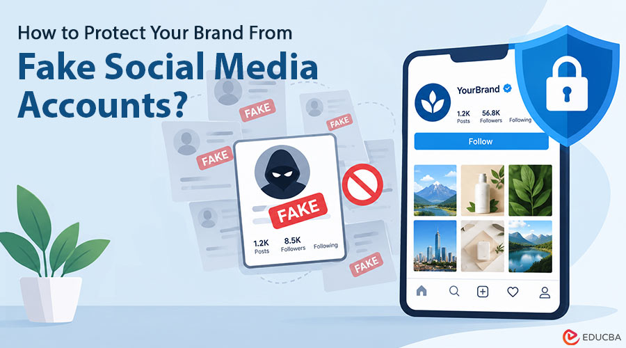 Fake Social Media Accounts