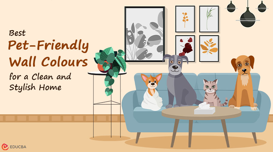 Pet-Friendly Wall Colours