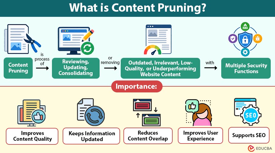 What-is-Content-Pruning (2)